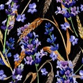 Wildflower spica pattern in a watercolor style. Royalty Free Stock Photo