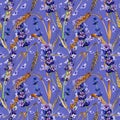 Wildflower spica pattern in a watercolor style. Royalty Free Stock Photo