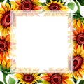 Wildflower sunflower flower frame in a watercolor style.