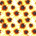 Wildflower sunflower flower pattern in a watercolor style.