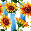 Wildflower sunflower flower pattern in a watercolor style. Royalty Free Stock Photo