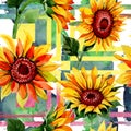 Wildflower Sunflower Flower Pattern In A Watercolor Style.
