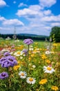 Wildflower Symphony in the Countryside
