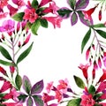 Wildflower Weigela florida flower frame in a watercolor style.