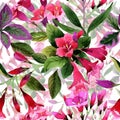 Wildflower Weigela florida flower pattern in a watercolor style.