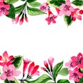 Wildflower weigela flower frame in a watercolor style.