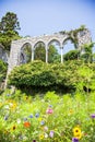 Wildflowers Arches and columns at hammond castle