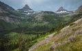 Wildflowers in bloom with Reynolds Mountain and Clements Mountain in the background Glacier National Park