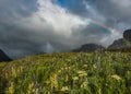 Wildflowers Bloom Under Full Rainbow Royalty Free Stock Photo