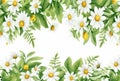 wildflowers border illustration on white background, watercolor style, chamomile, lavender, eucalyptus leaves, created with ai Royalty Free Stock Photo