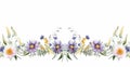 wildflowers border illustration on white background, watercolor style, chamomile, lavender, eucalyptus leaves, created with ai Royalty Free Stock Photo