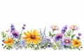 wildflowers border illustration on white background, watercolor style, chamomile, lavender, eucalyptus leaves, created with ai