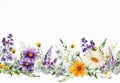 wildflowers border illustration on white background, watercolor style, chamomile, lavender, eucalyptus leaves, created with ai Royalty Free Stock Photo