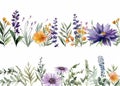 wildflowers border illustration on white background, watercolor style, chamomile, lavender, eucalyptus leaves, created with ai Royalty Free Stock Photo