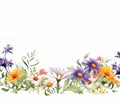 wildflowers border illustration on white background, watercolor style, chamomile, lavender, eucalyptus leaves, created with ai Royalty Free Stock Photo