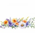 wildflowers border illustration on white background, watercolor style, chamomile, lavender, eucalyptus leaves, created with ai Royalty Free Stock Photo