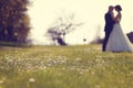 Wildflowers with bride and groom as silhouettes Royalty Free Stock Photo