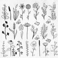 Wildflowers bundle, Floral, Wildflower, flower sketch, Bouquet bundle, minimalist