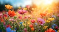 Wildflowers, buzzing bees, and a vibrant sun bring spring's lively spirit