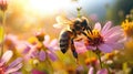 Wildflowers, buzzing bees, and a vibrant sun bring spring's lively spirit