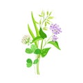 Wildflowers Composition with Meadow Plants and Flora Closeup View Vector Illustration Royalty Free Stock Photo