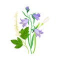 Wildflowers Composition with Meadow Plants and Flora Closeup View Vector Illustration Royalty Free Stock Photo