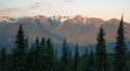 Wildflowers Cover Hillside Olympic Mountains Hurricane Ridge Royalty Free Stock Photo