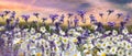 Wildflowers  Daisy Lavander field flowers at sunset  meadow chamomile in the grass at field summer blue sky with fluffy white clou Royalty Free Stock Photo