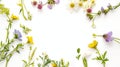 Wildflowers and green grass, bround circular arrangement of field wild flowers on white Royalty Free Stock Photo