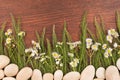 Wildflowers growing from white stones on a dark wooden background. Royalty Free Stock Photo