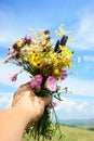 Wildflowers and hand