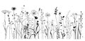 Wildflowers herb hand drawn sketch.Doodle style.