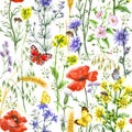 Wildflowers and Insects Pattern Royalty Free Stock Photo