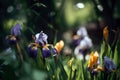 Wildflowers Iris Background Flowers Plant. Generative AI