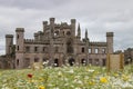 Wildflowers at Lowther Castle Royalty Free Stock Photo