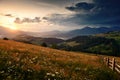 Wildflowers, meadow and golden sunset in carpathian mountains - beautiful summer landscape, spruces on hills, dark cloudy sky and Royalty Free Stock Photo