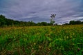 West Green Park in Deforest Wisconsin