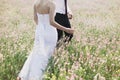 Wildflowers on a meadow in a sunny day. Shot with a selective focus Royalty Free Stock Photo