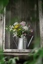 Wildflowers in a metal watering can Royalty Free Stock Photo