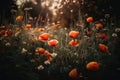 Wildflowers Poppies Background Flowers Plant. Generative AI