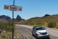 Wildflowers and a PT Cruiser near Oatman, Arizona