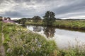 Wildflowers on River Deveron in Scotland. Royalty Free Stock Photo