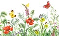 Wildflowers Seamless Horizontal Border