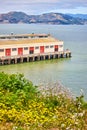 Wildflowers on shore with view of warehouse pier on San Francisco Bay Royalty Free Stock Photo