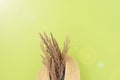 Wildflowers and a straw hat on a green background. Summer concept. Flat lay