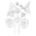 Wildflowers. Strawberries. Hand Drawing. Black Engraving, Graphics, Line Art. Vintage. Black And White.