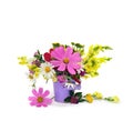 Wildflowers summer, pink flowers cosmos, white chamomile, yellow linaria, red samaras maple ash in small violet bucket on white Royalty Free Stock Photo