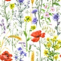 Wildflowers and Wheat Ears Seamless Pattern Royalty Free Stock Photo