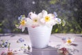 Wildflowers in white decorative bucket on wooden surface against background of greenery. Royalty Free Stock Photo