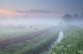 Wildflowers and windmill in dense morning fog Royalty Free Stock Photo